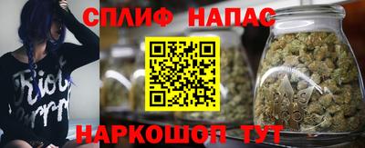 дмт Можга