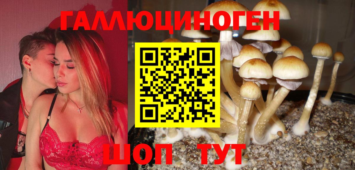 Псилоцибиновые грибы Psilocybe  Псилоцибиновые грибы мицелий  Вход с VPN  Чебоксары 